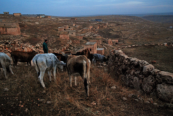 Evening in the Village of Bacin - southeastern Turkey (2009)