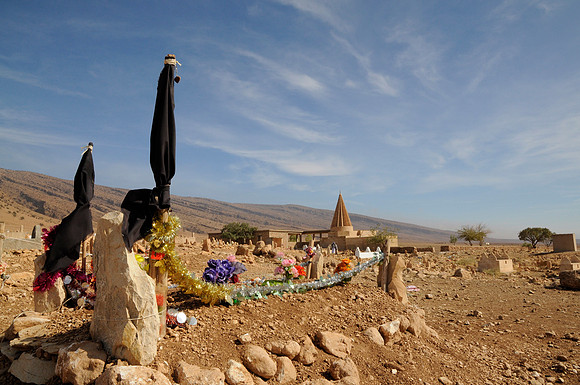 Sheikh Mend Pasha (2012)
