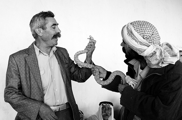 Sheikhs of the Sheikh Mande tribe Handle Snake at Celebration, Sinjar region (2012)