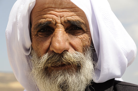 On Mount Sinjar (2014)