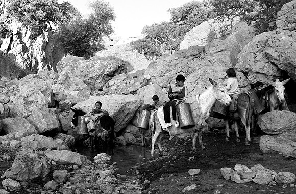 Children collecting water at Kobê Sheikh Adi on Sinjar Mountain (2009)