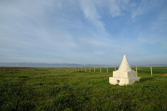 "Nishan" in Spring Grasses (2014)