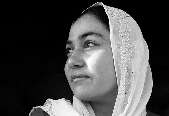 Seyfey. Sinjar region (2014)